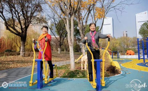 文明實(shí)踐新風(fēng)尚，志愿服務(wù)譜新篇——張家港市文明實(shí)踐志愿服務(wù)主題公園建成投用